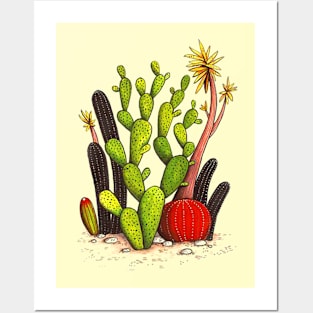 Cactus Posters and Art